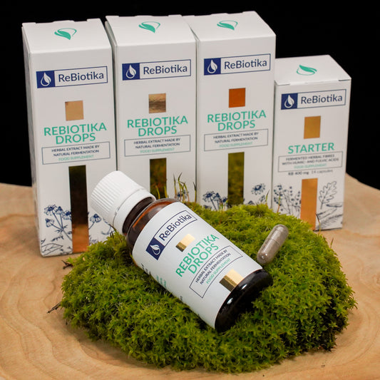ReBiosis Therapy